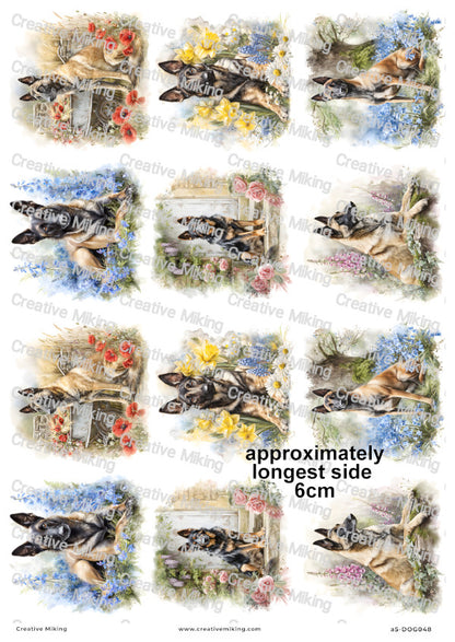 Belgian Malinois Dog Decoupage Rice Paper | DOG048