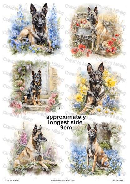 Belgian Malinois Dog Decoupage Rice Paper | DOG048