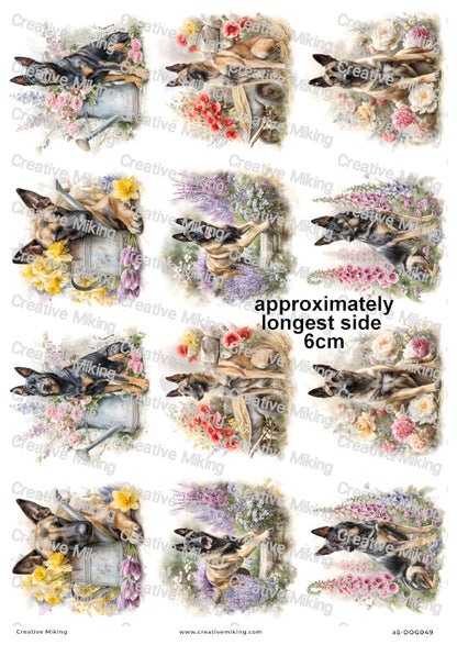 Belgian Malinois Dog Decoupage Rice Paper | DOG049