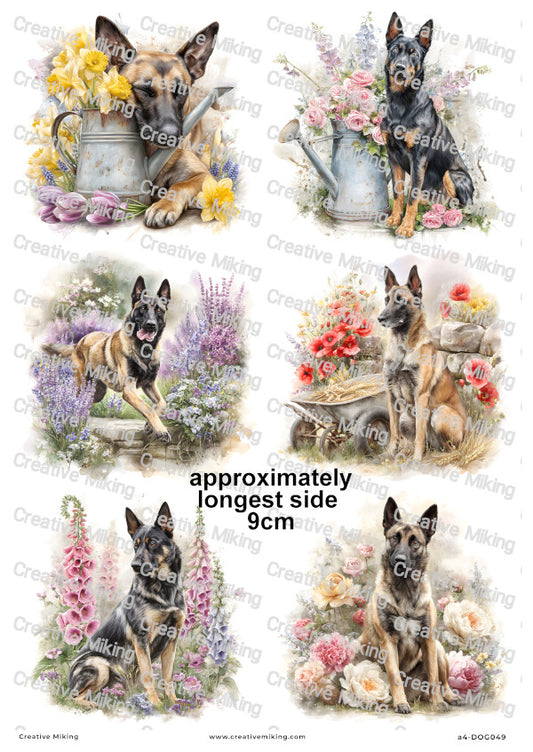 Belgian Malinois Dog Decoupage Rice Paper | DOG049