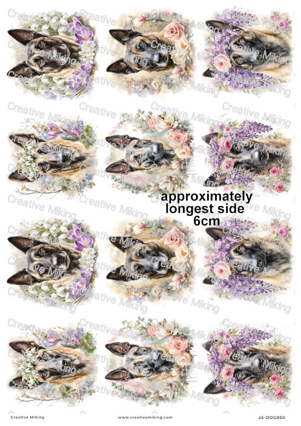 Belgian Malinois Dog Decoupage Rice Paper | DOG050
