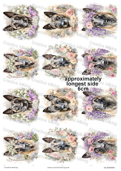 Belgian Malinois Dog Decoupage Rice Paper | DOG050