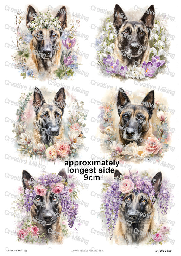 Belgian Malinois Dog Decoupage Rice Paper | DOG050