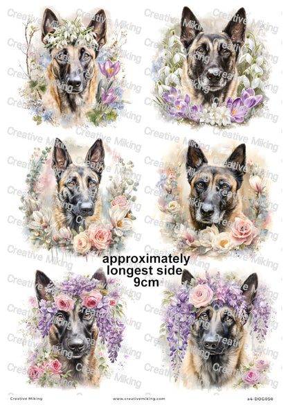 Belgian Malinois Dog Decoupage Rice Paper | DOG050