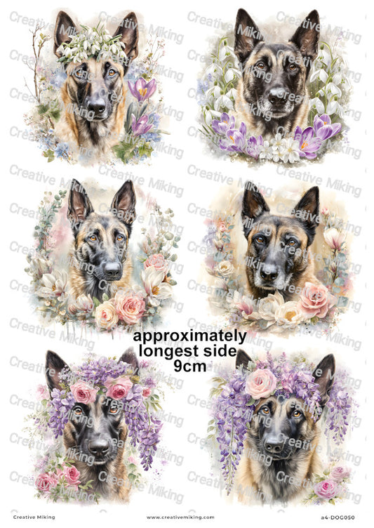 Belgian Malinois Dog Decoupage Rice Paper | DOG050