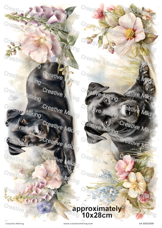 Patterdale Terrier Dog Decoupage Rice Paper | DOG058