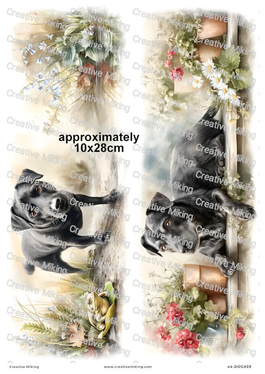 Patterdale Terrier Dog Decoupage Rice Paper | DOG059