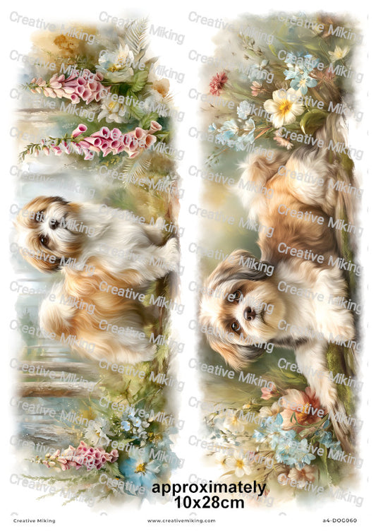 Shih Tzu Dog Decoupage Rice Paper | DOG060