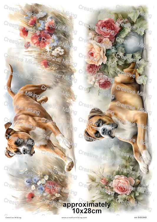 Boxer Dog Decoupage Rice Paper | DOG061