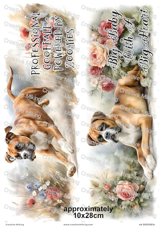 Boxer Dog Funny Decoupage Rice Paper | DOG061a