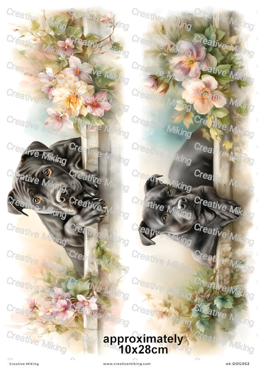 Staffordshire Bull Terrier Dog Decoupage Rice Paper | DOG063