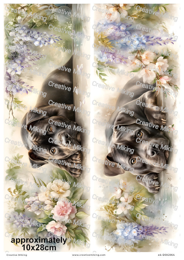 Staffordshire Bull Terrier Dog Decoupage Rice Paper | DOG064