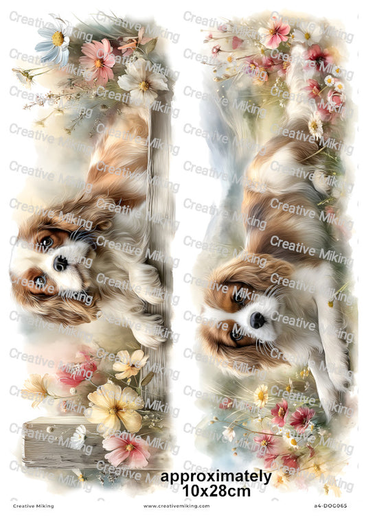 Cavalier King Charles Spaniel Dog Decoupage Rice Paper | DOG065