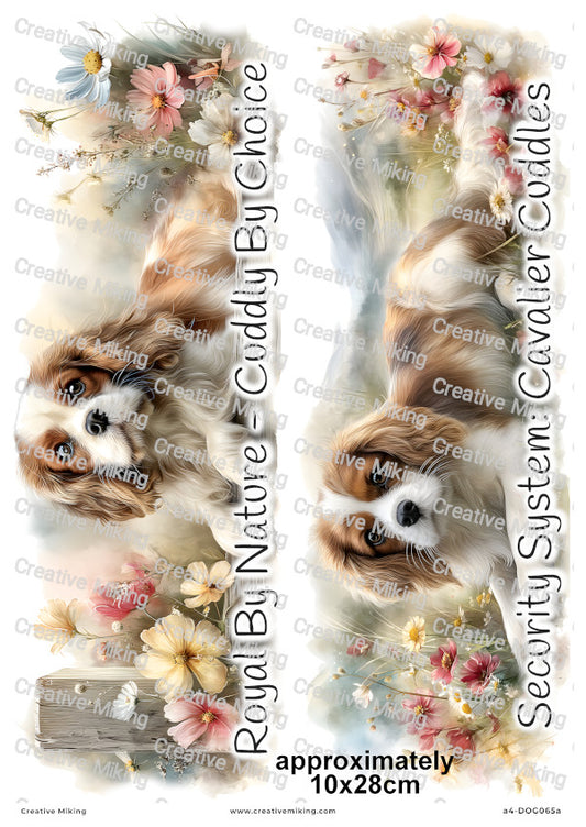 Cavalier King Charles Spaniel Dog Funny Decoupage Rice Paper | DOG065a