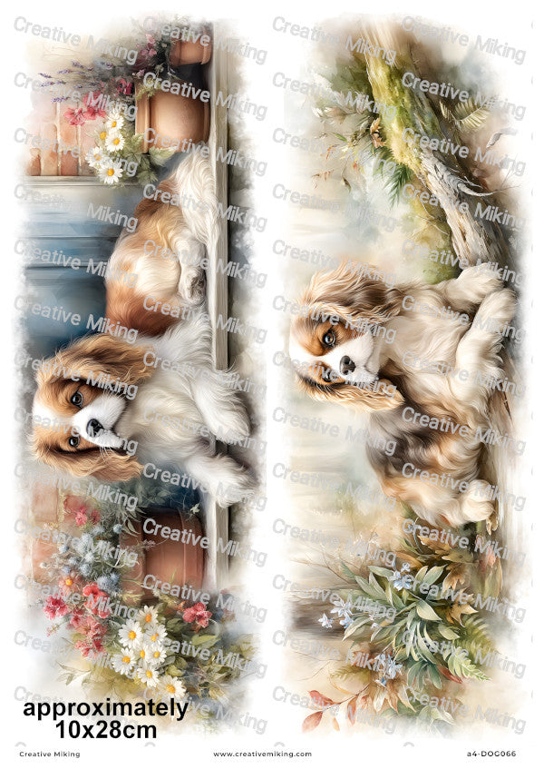Cavalier King Charles Spaniel Dog Decoupage Rice Paper | DOG066