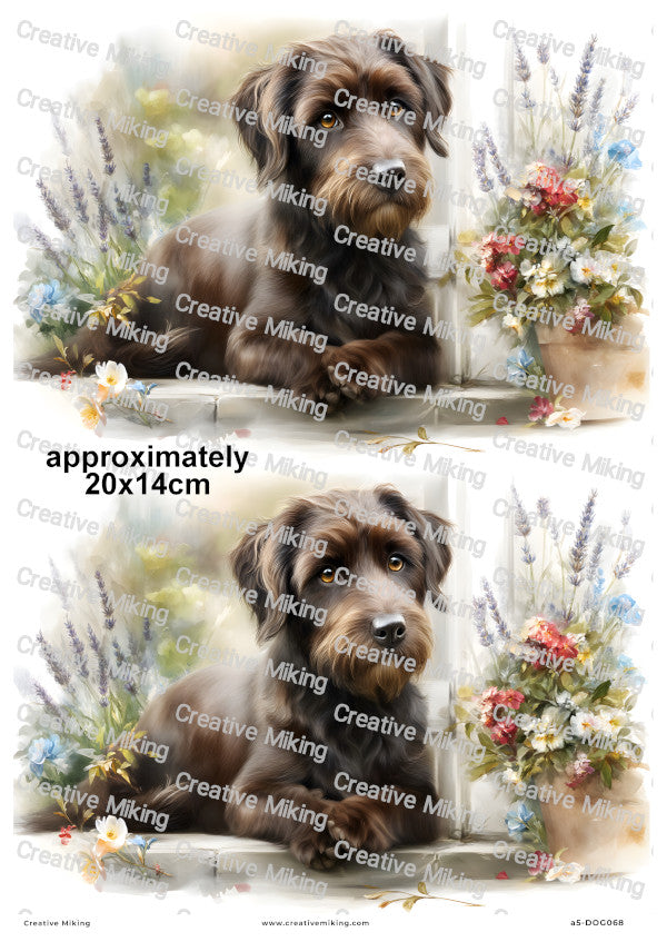 Jackapoo Dog Decoupage Rice Paper | DOG068