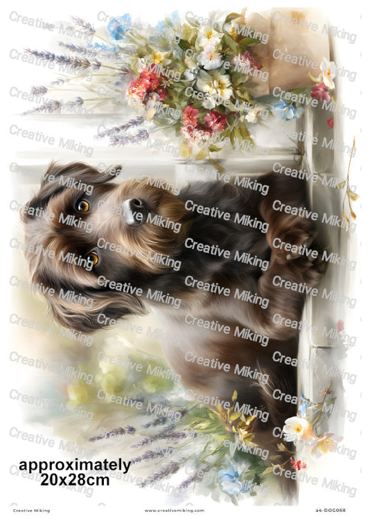 Jackapoo Dog Decoupage Rice Paper | DOG068
