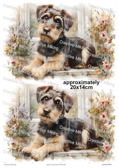 Jackapoo Dog Decoupage Rice Paper | DOG069