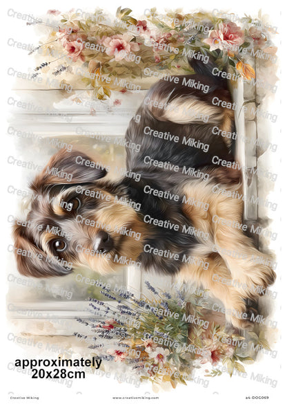 Jackapoo Dog Decoupage Rice Paper | DOG069