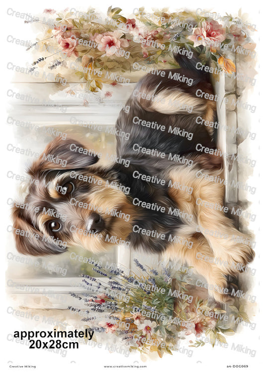 Jackapoo Dog Decoupage Rice Paper | DOG069
