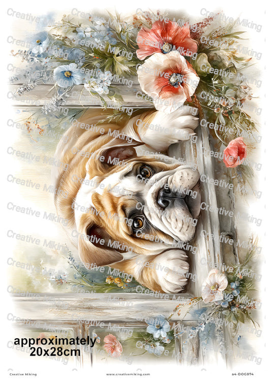 English Bulldog Dog Decoupage Rice Paper | DOG074