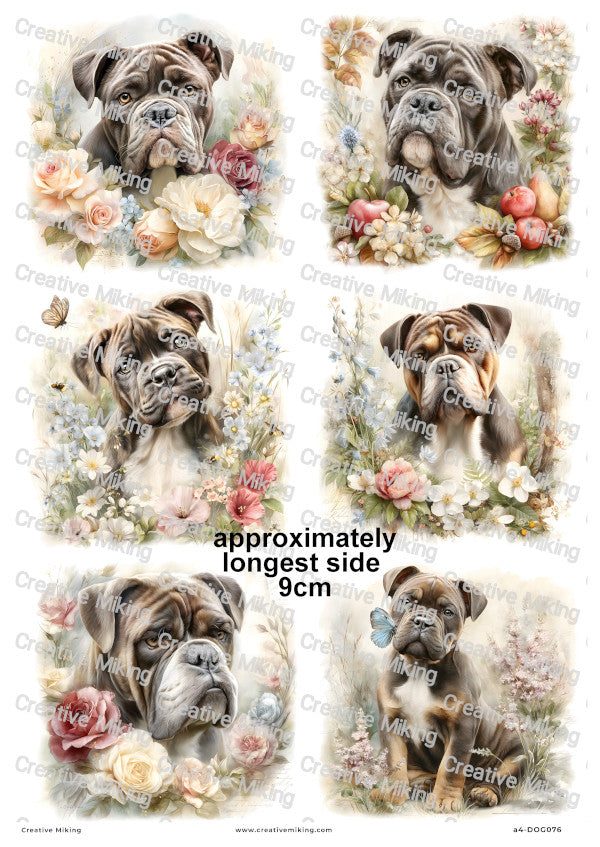 English Bulldog Dog Decoupage Rice Paper | DOG076