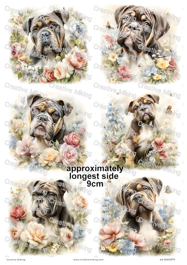 English Bulldog Dog Decoupage Rice Paper | DOG077