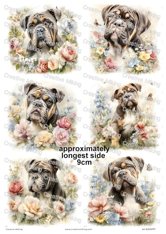 English Bulldog Dog Decoupage Rice Paper | DOG077