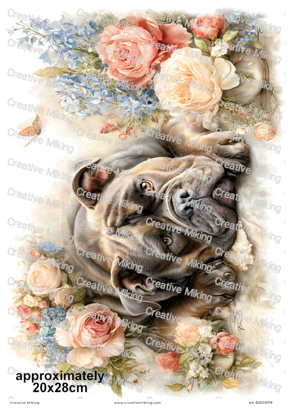 English Bulldog Dog Decoupage Rice Paper | DOG079