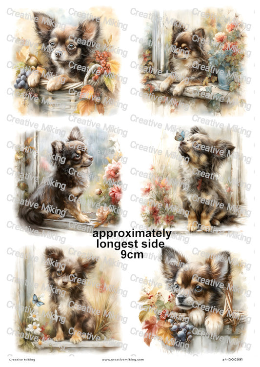 Chihuahua Dog Decoupage Rice Paper | DOG091