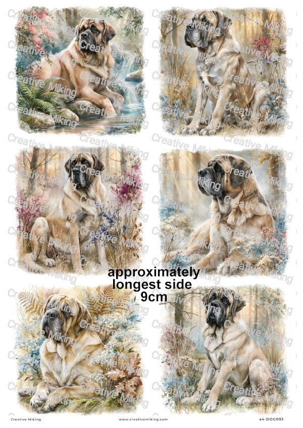 English Mastiff Dog Decoupage Rice Paper | DOG093