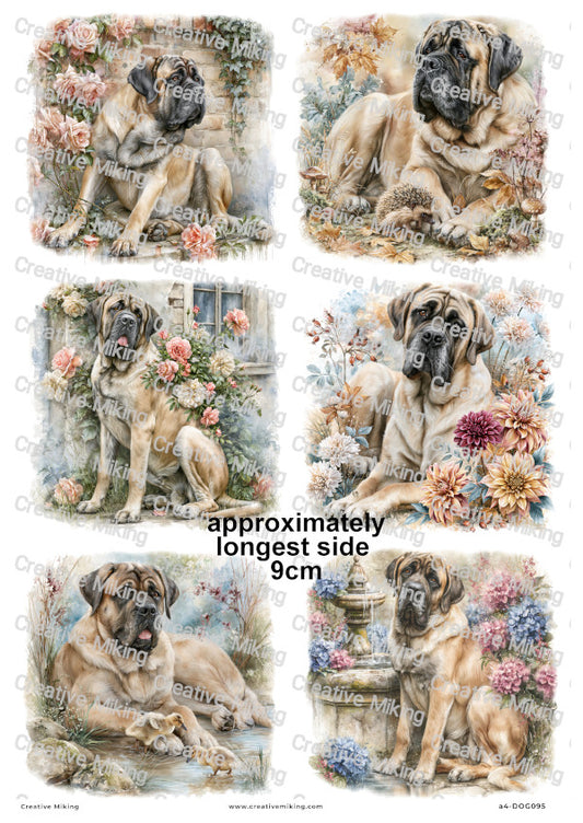 English Mastiff Dog Decoupage Rice Paper | DOG095