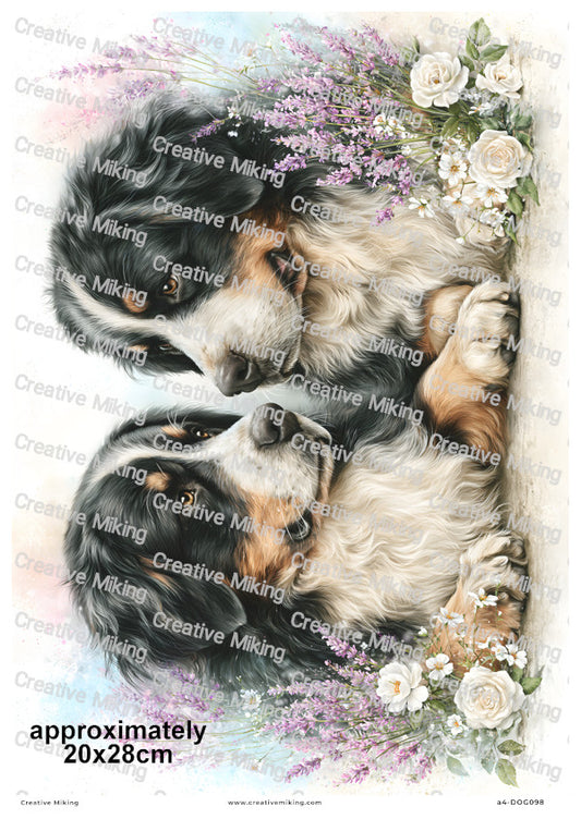 Bernese Mountain Dog Decoupage Rice Paper | DOG098
