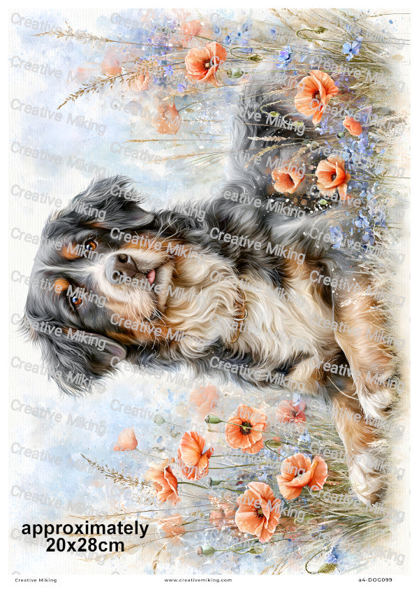 Bernese Mountain Dog Decoupage Rice Paper | DOG099