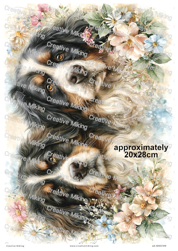 Bernese Mountain Dog Decoupage Rice Paper | DOG100