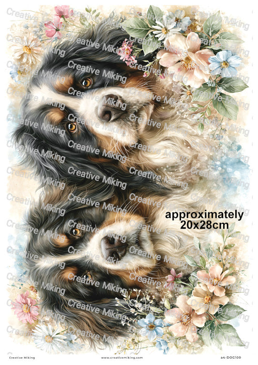Bernese Mountain Dog Decoupage Rice Paper | DOG100