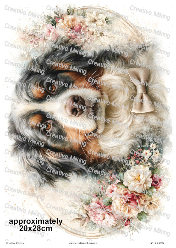 Bernese Mountain Dog Decoupage Rice Paper | DOG102