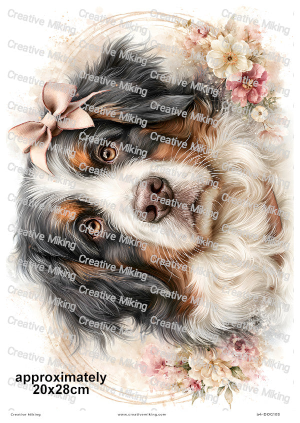 Bernese Mountain Dog Decoupage Rice Paper | DOG103