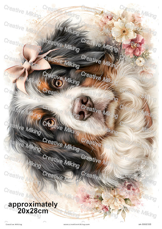 Bernese Mountain Dog Decoupage Rice Paper | DOG103