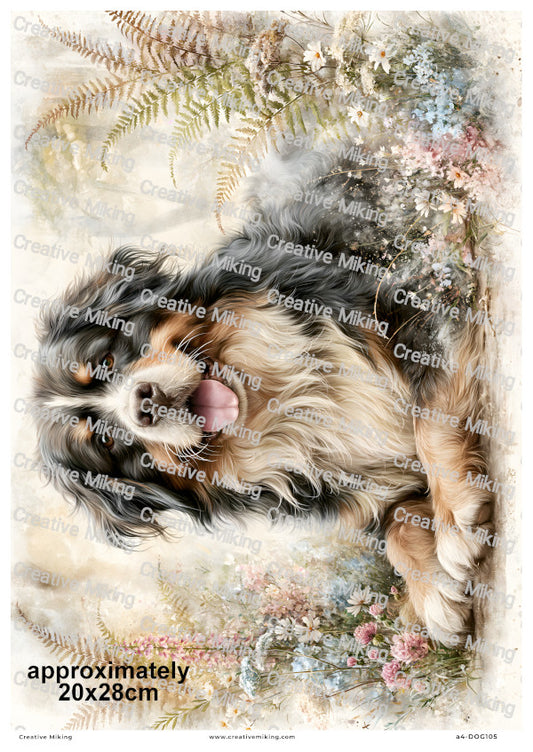 Bernese Mountain Dog Decoupage Rice Paper | DOG105