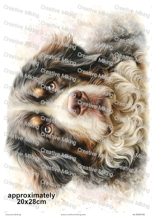 Bernese Mountain Dog Decoupage Rice Paper | DOG106