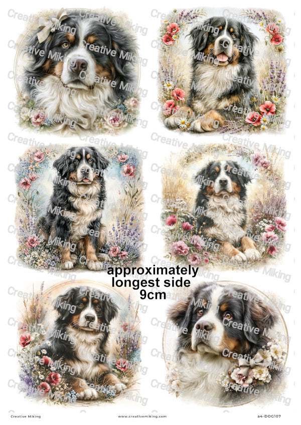 Bernese Mountain Dog Decoupage Rice Paper | DOG107