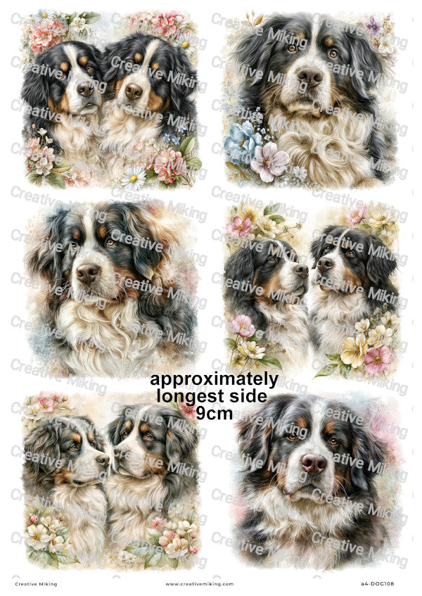Bernese Mountain Dog Decoupage Rice Paper | DOG108