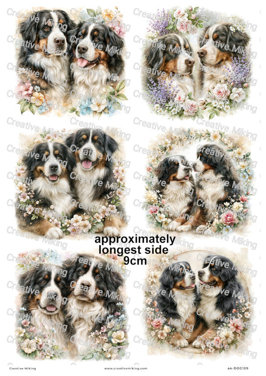 Bernese Mountain Dog Decoupage Rice Paper | DOG109