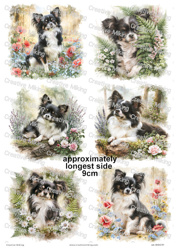 Chihuahua Dog Decoupage Rice Paper | DOG111
