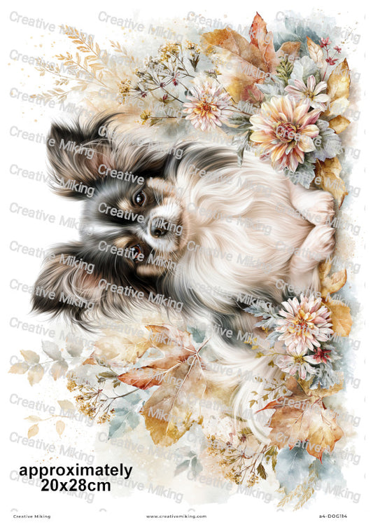 Chihuahua Dog Decoupage Rice Paper | DOG114