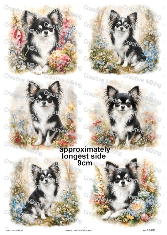 Chihuahua Dog Decoupage Rice Paper | DOG115