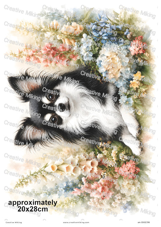 Chihuahua Dog Decoupage Rice Paper | DOG116
