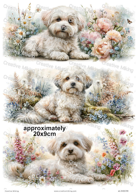 Maltipoo Dog In Flowers Decoupage Rice Paper | DOG119