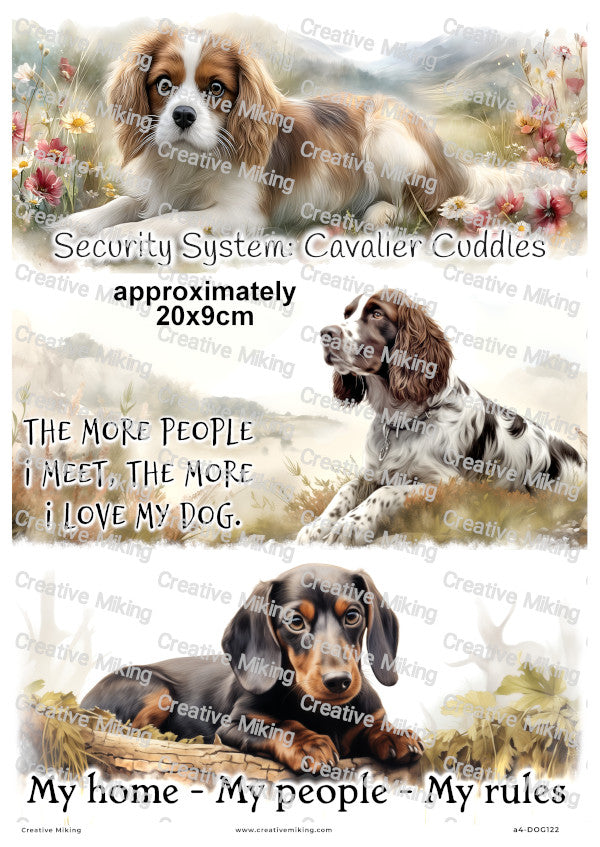 Dogs Funny Decoupage Rice Paper | DOG122